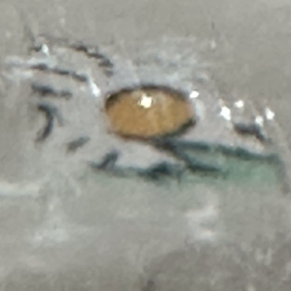 Close to Sweet - Picture 9 of 10